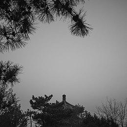 VR音游《Thumper》创作者续作《Thrasher》亮相TGA 2023